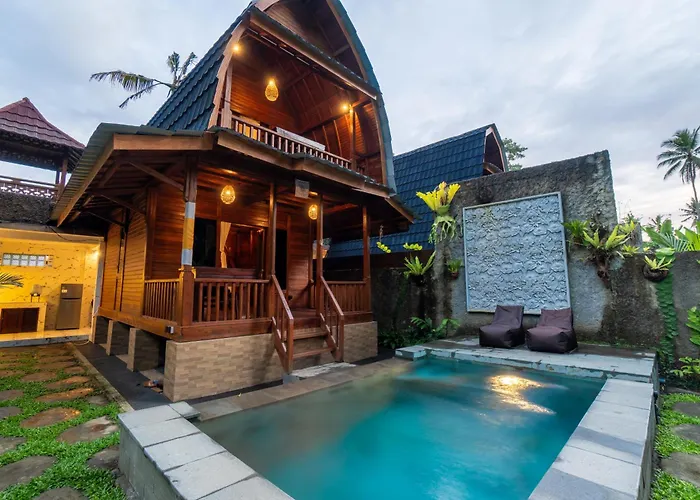 Jungle Forest By The Travel Bali