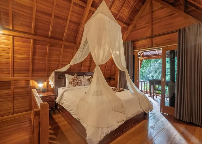 Jungle Forest By The Travel Bali *