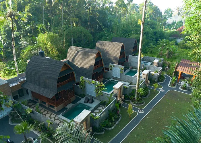 Jungle Forest By The Travel Bali