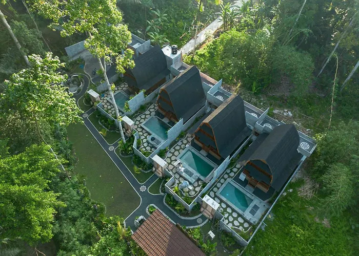 Jungle Forest By The Travel Bali