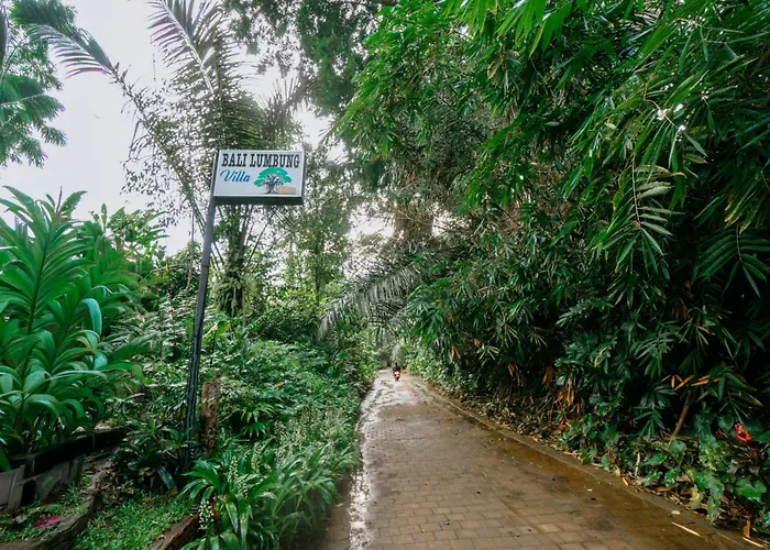 Jungle Forest By The Travel Bali