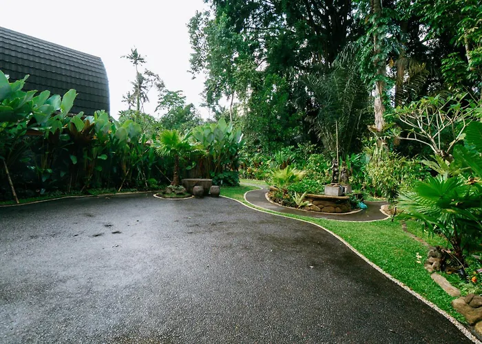 Jungle Forest By The Travel Bali Villa Ubud