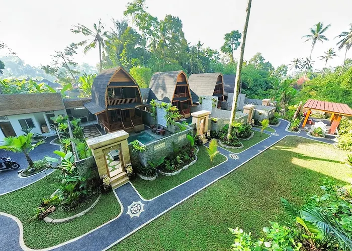 Jungle Forest By The Travel Bali