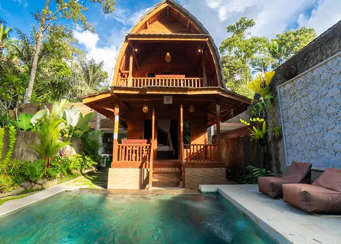 Jungle Forest By The Travel Bali