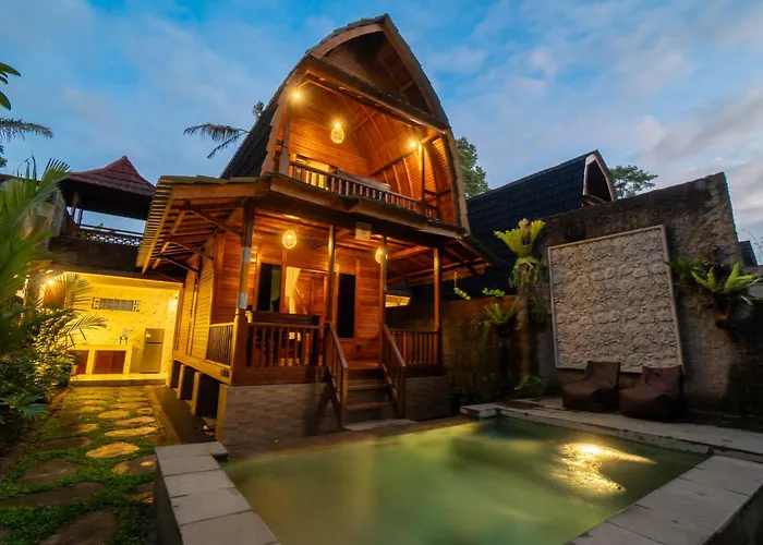 Jungle Forest By The Travel Bali *